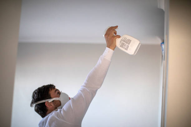 Best Mold Removal and Inspection  in Bowie, MD