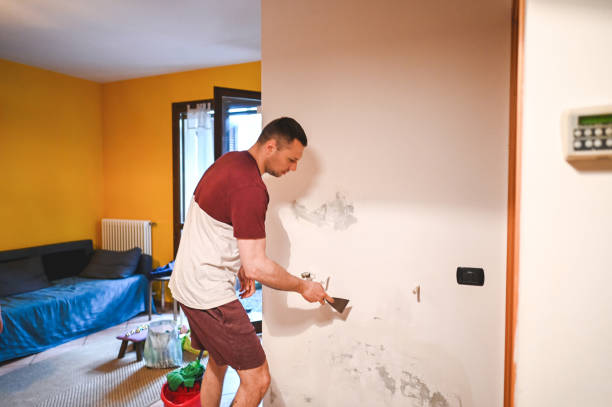 Best Attic Mold Removal  in Bowie, MD